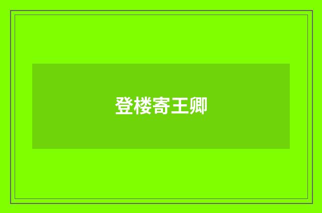 登楼寄王卿
