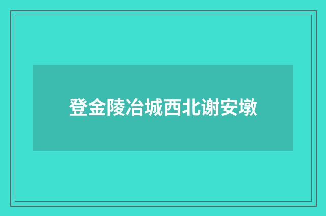 登金陵冶城西北谢安墩