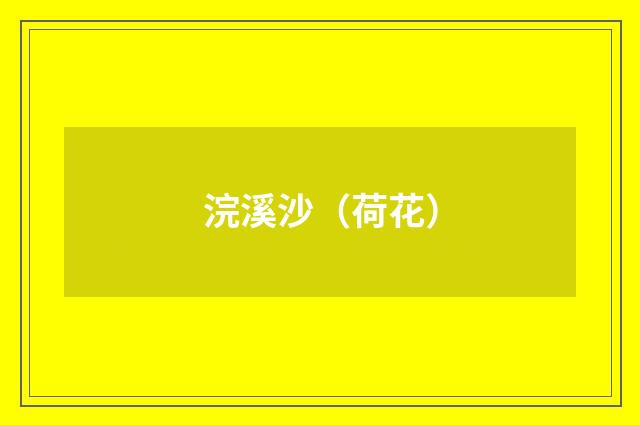 浣溪沙（荷花）