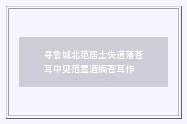 寻鲁城北范居士失道落苍耳中见范置酒摘苍耳作