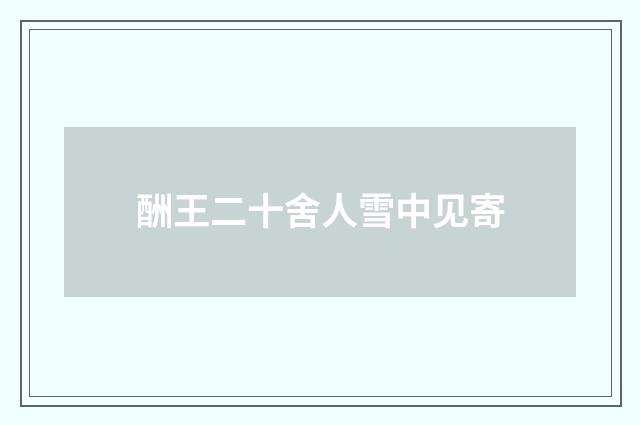 酬王二十舍人雪中见寄