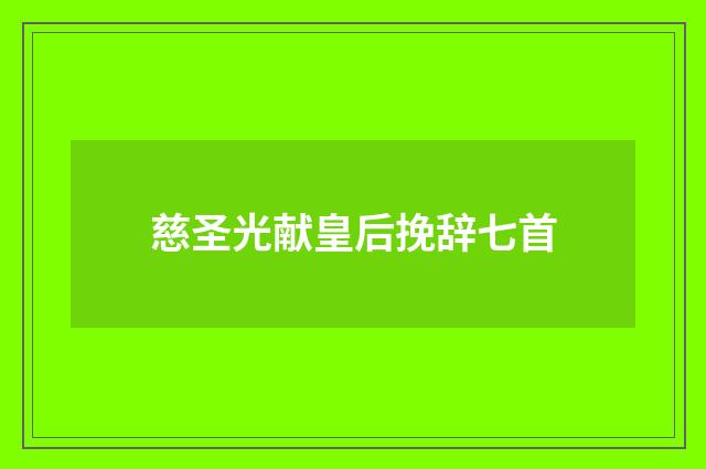 慈圣光献皇后挽辞七首