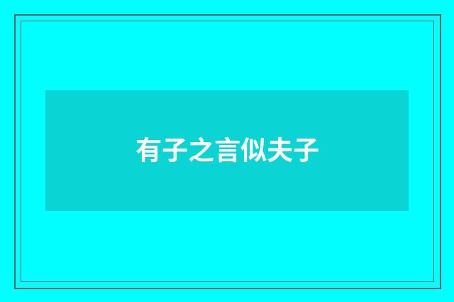 有子之言似夫子
