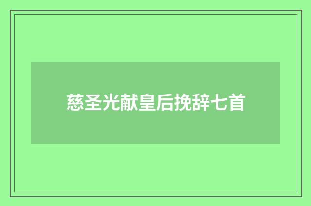 慈圣光献皇后挽辞七首