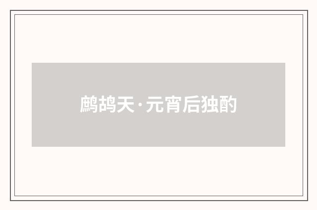 鹧鸪天·元宵后独酌