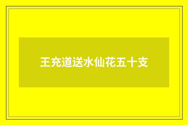 王充道送水仙花五十支