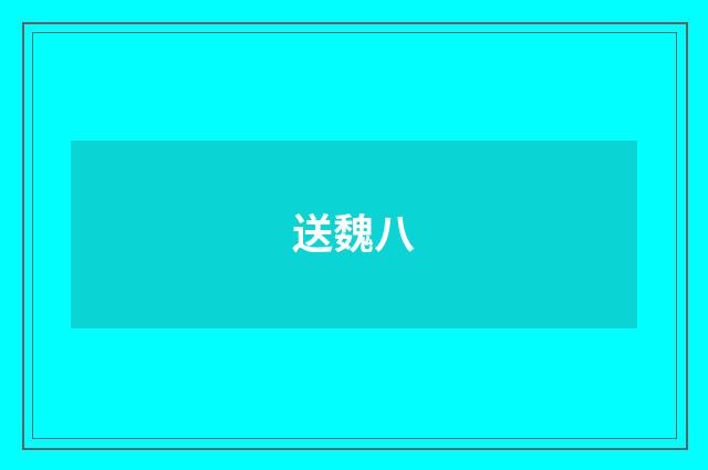 送魏八