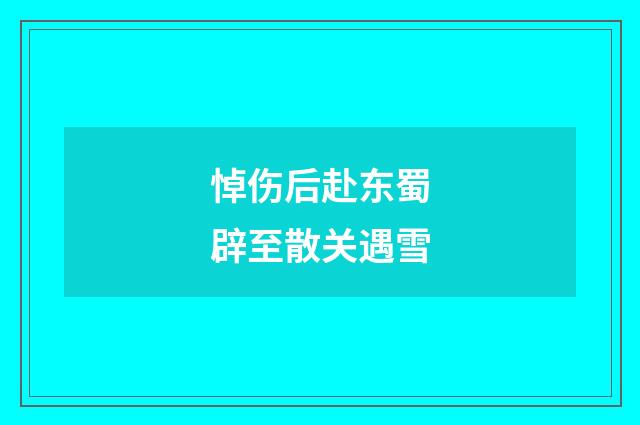 悼伤后赴东蜀辟至散关遇雪