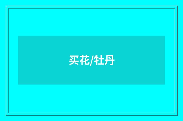 买花/牡丹