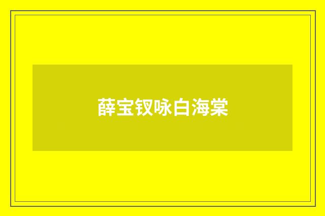 薛宝钗咏白海棠