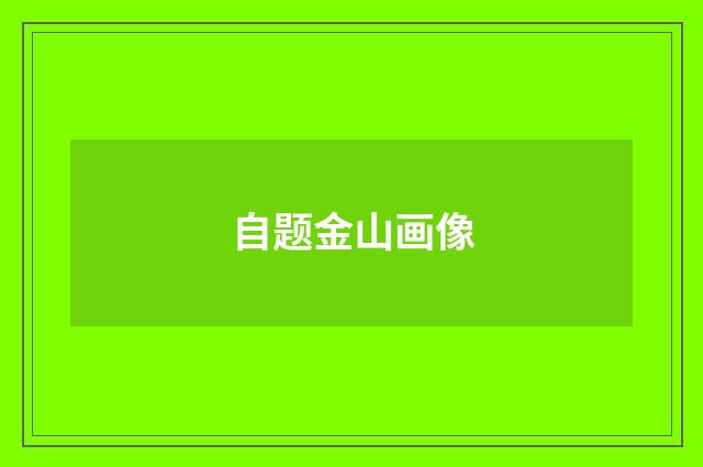 自题金山画像