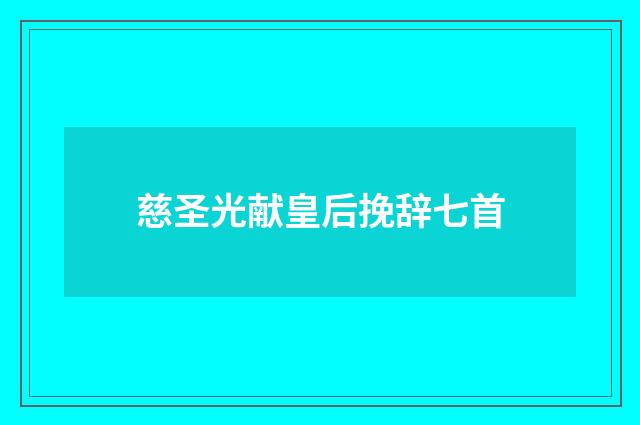 慈圣光献皇后挽辞七首