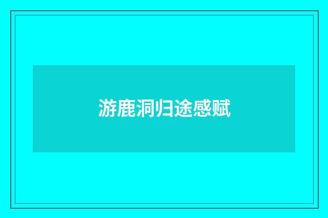 游鹿洞归途感赋