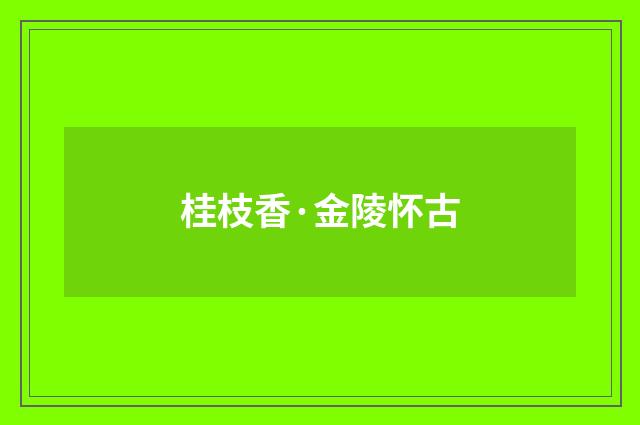 桂枝香·金陵怀古