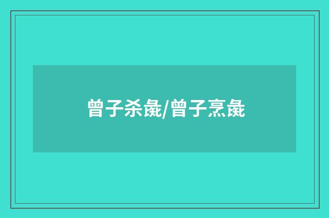 曾子杀彘/曾子烹彘