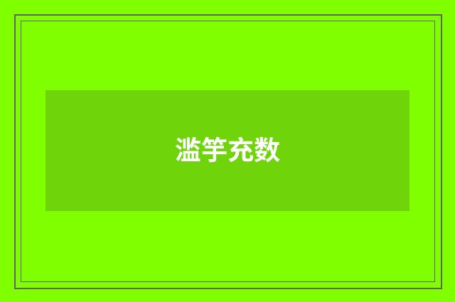 滥竽充数
