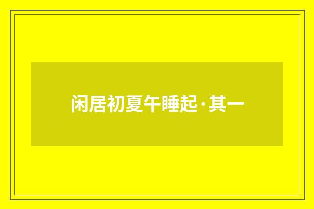 闲居初夏午睡起·其一