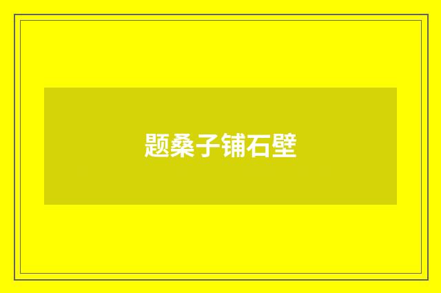题桑子铺石壁