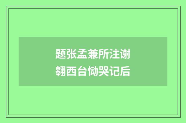 题张孟兼所注谢翱西台恸哭记后