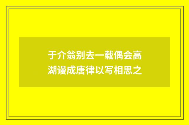 于介翁别去一载偶会高湖谩成唐律以写相思之