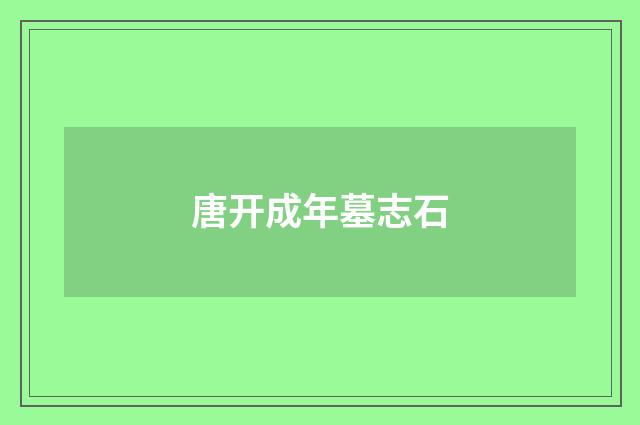 唐开成年墓志石