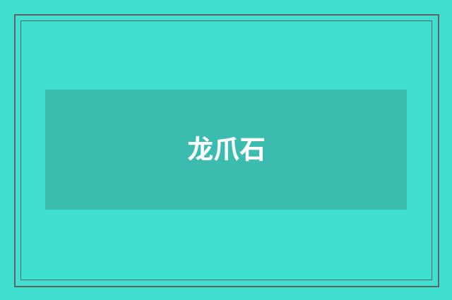 龙爪石
