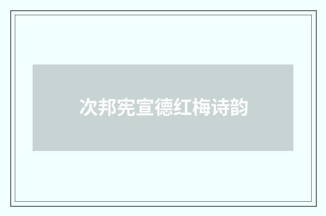 次邦宪宣德红梅诗韵