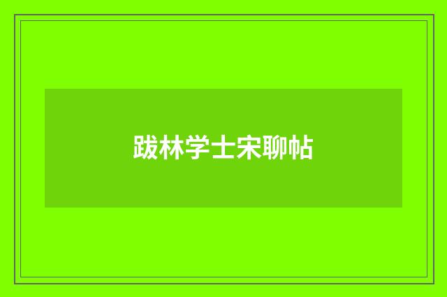 跋林学士宋聊帖