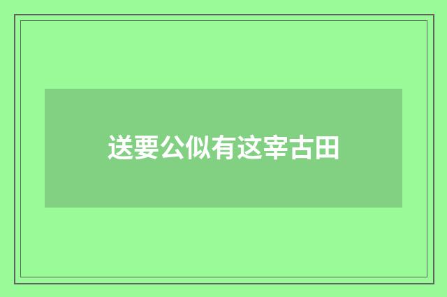 送要公似有这宰古田