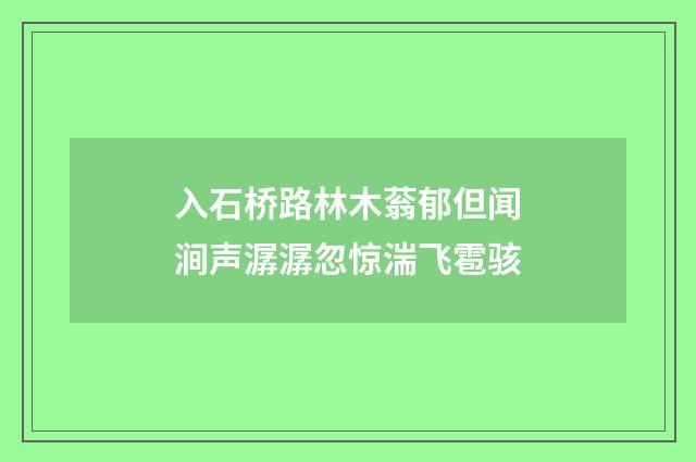 入石桥路林木蓊郁但闻涧声潺潺忽惊湍飞雹骇