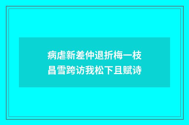 病虐新差仲退折梅一枝昌雪跨访我松下且赋诗