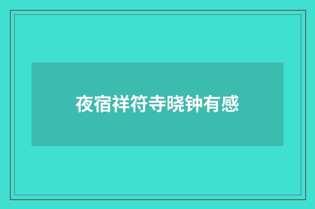 夜宿祥符寺晓钟有感