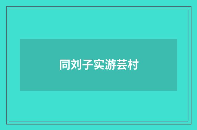 同刘子实游芸村
