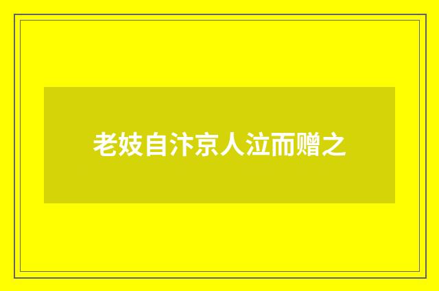 老妓自汴京人泣而赠之