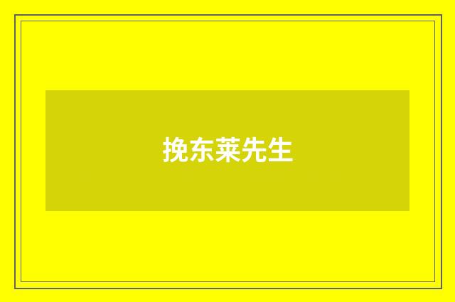 挽东莱先生