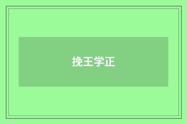 挽王学正