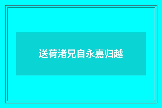送荷渚兄自永嘉归越