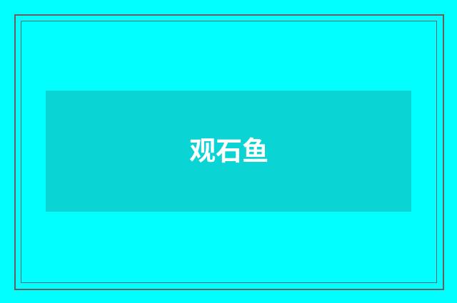 观石鱼