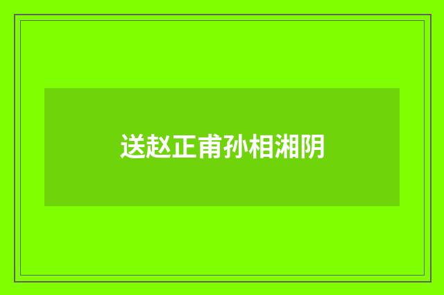 送赵正甫孙相湘阴