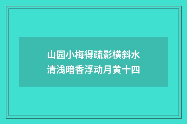 山园小梅得疏影横斜水清浅暗香浮动月黄十四