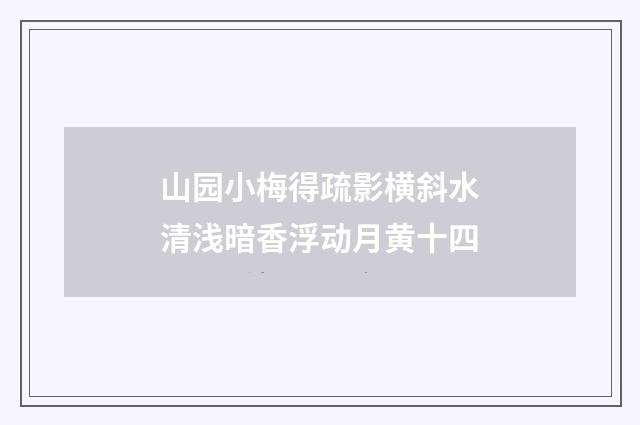山园小梅得疏影横斜水清浅暗香浮动月黄十四
