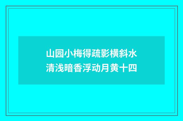 山园小梅得疏影横斜水清浅暗香浮动月黄十四