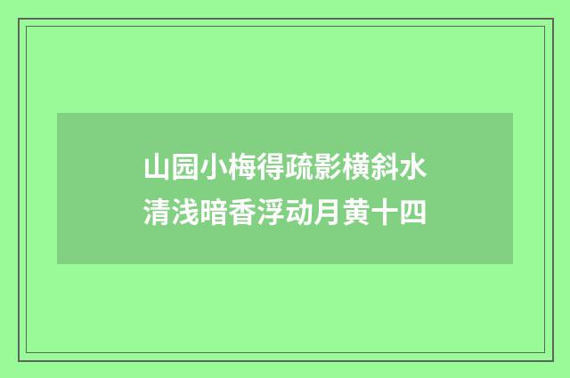 山园小梅得疏影横斜水清浅暗香浮动月黄十四