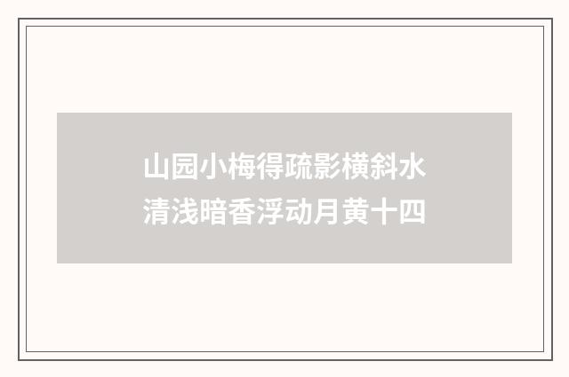 山园小梅得疏影横斜水清浅暗香浮动月黄十四
