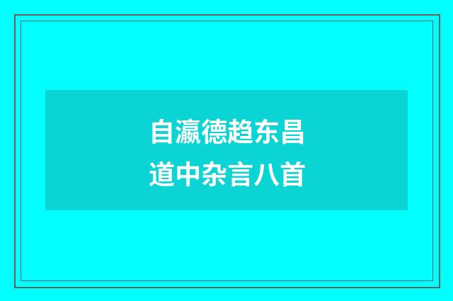 自瀛德趋东昌道中杂言八首