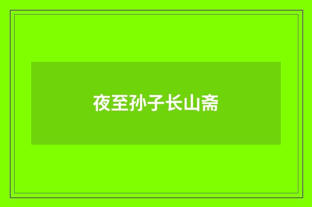 夜至孙子长山斋