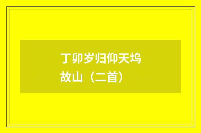 丁卯岁归仰天坞故山(二首)