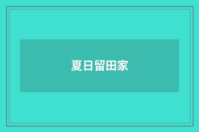 夏日留田家