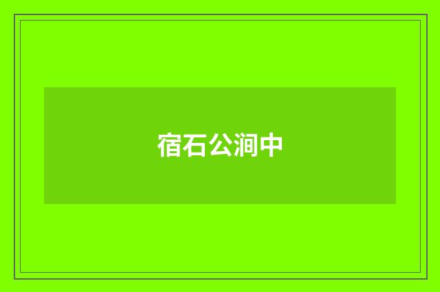 宿石公涧中