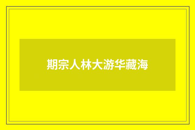 期宗人林大游华藏海